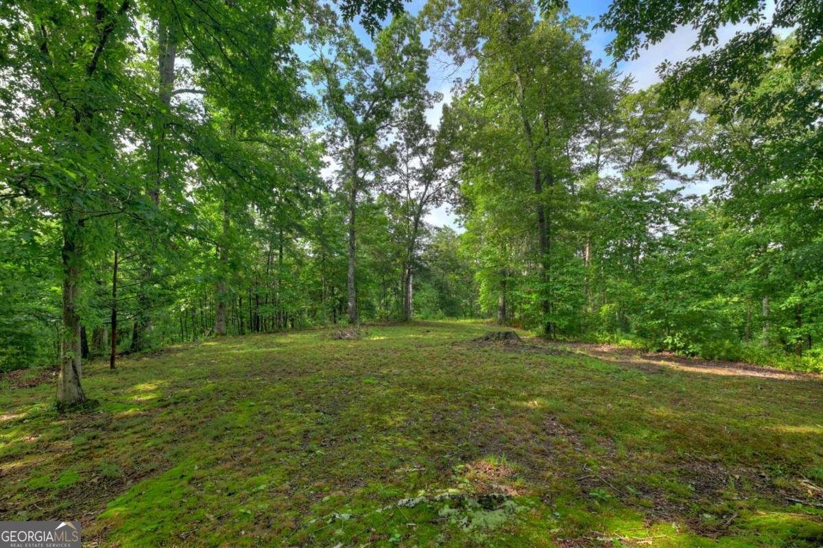 387 Ruby Lane Mineral Bluff - Photo 74