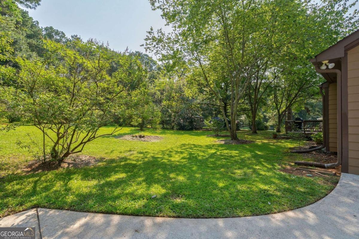 1161 Windsor Drive Watkinsville - Photo 46