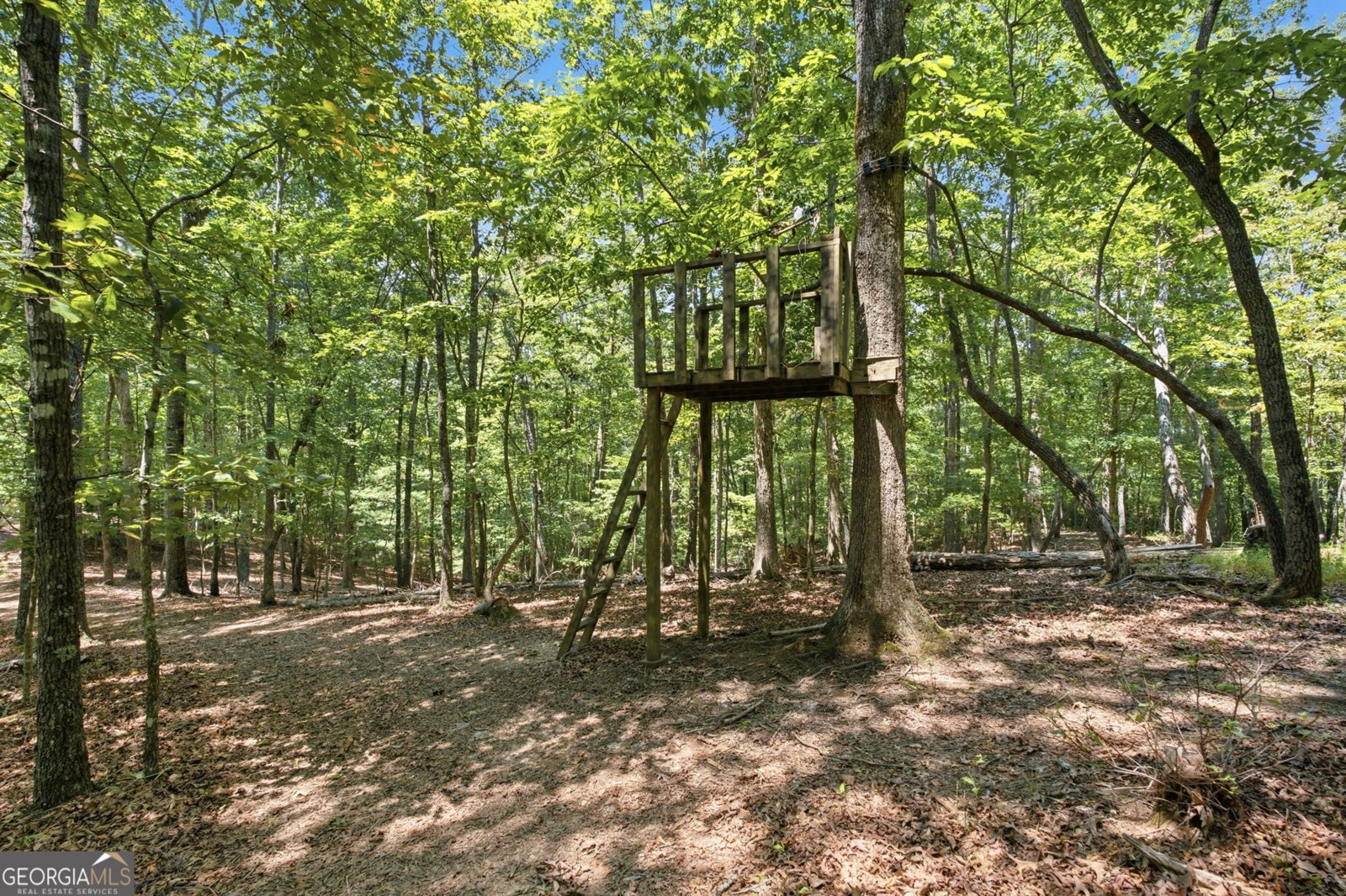 302 Bumpy Trail Dawsonville - Photo 66