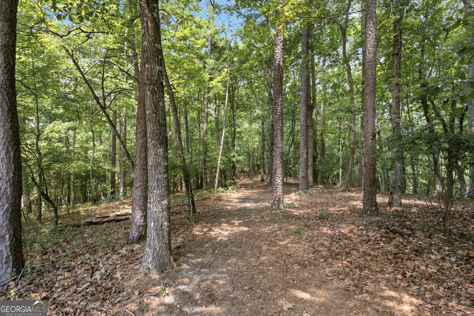 302 Bumpy Trail Dawsonville - Photo 67