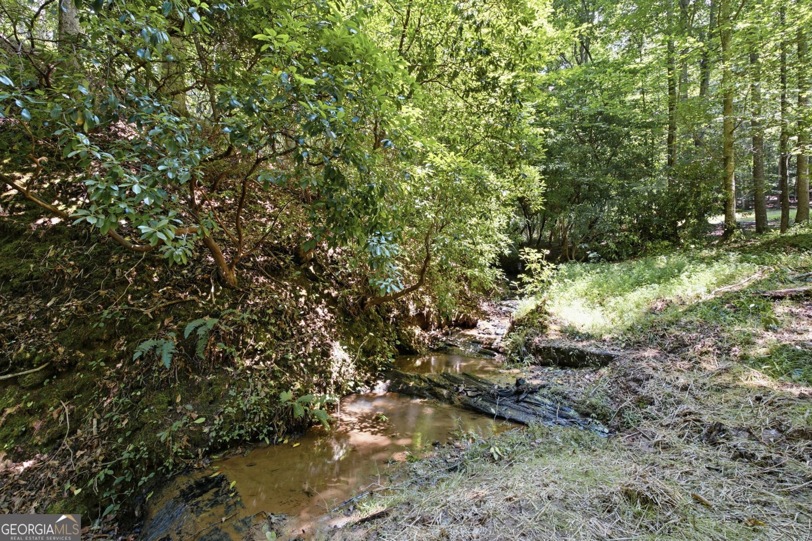 302 Bumpy Trail Dawsonville - Photo 69