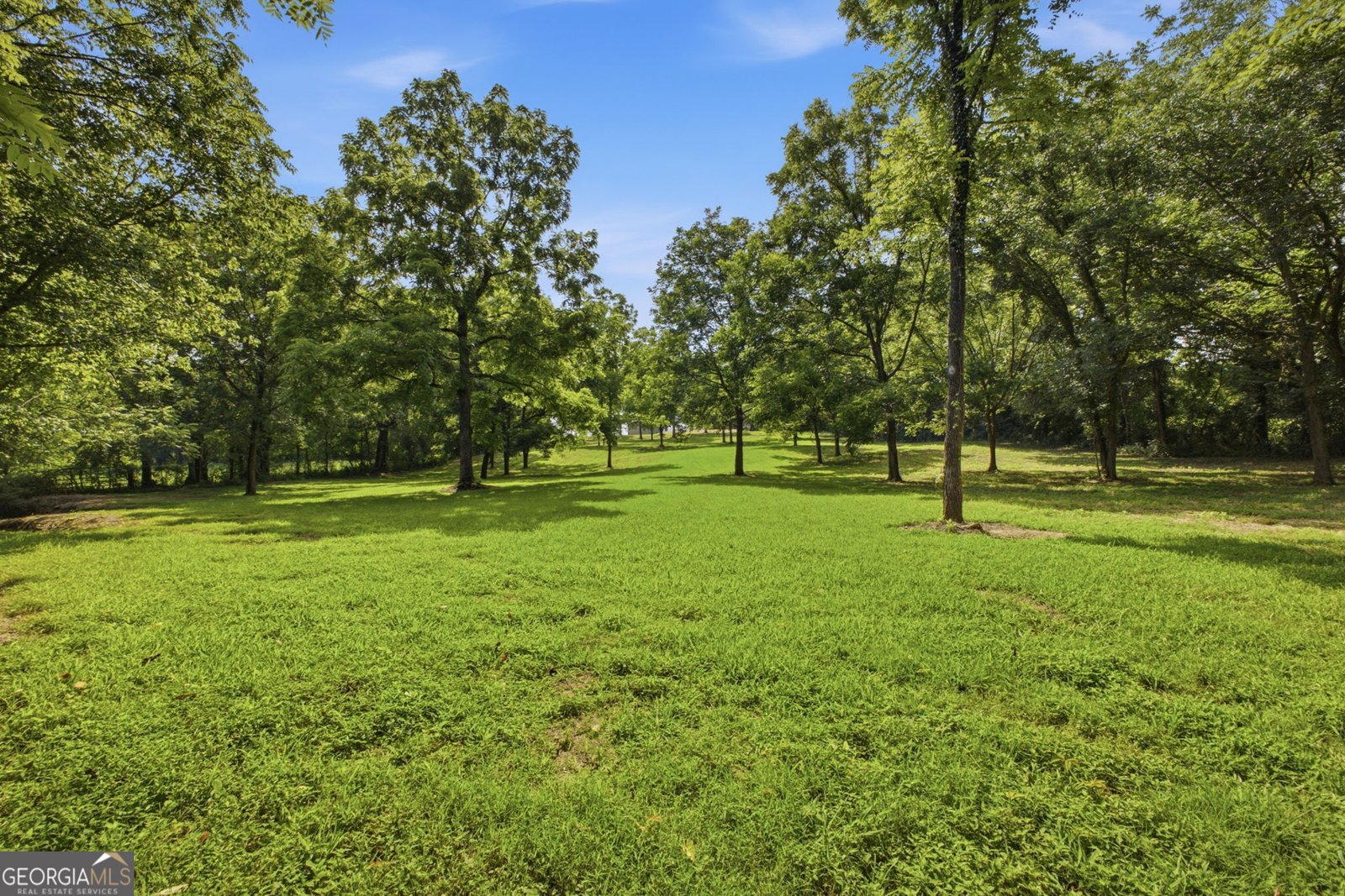 1344 Old Highway 27 Trion - Photo 47
