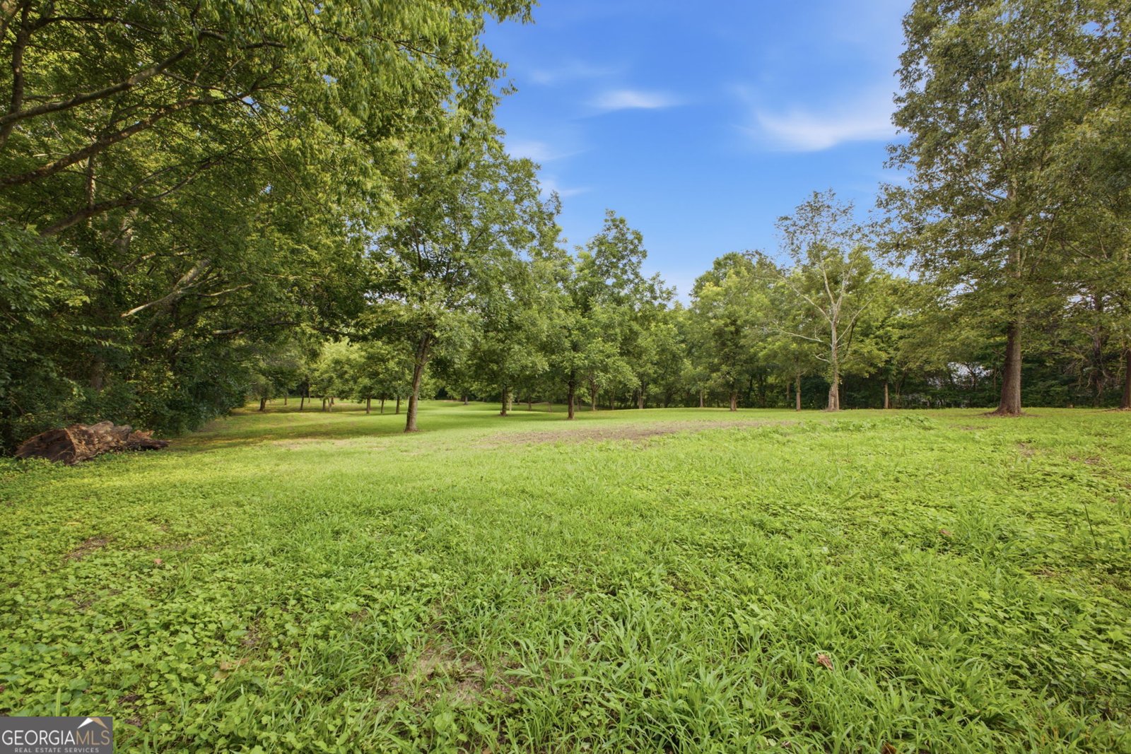 1344 Old Highway 27 Trion - Photo 48