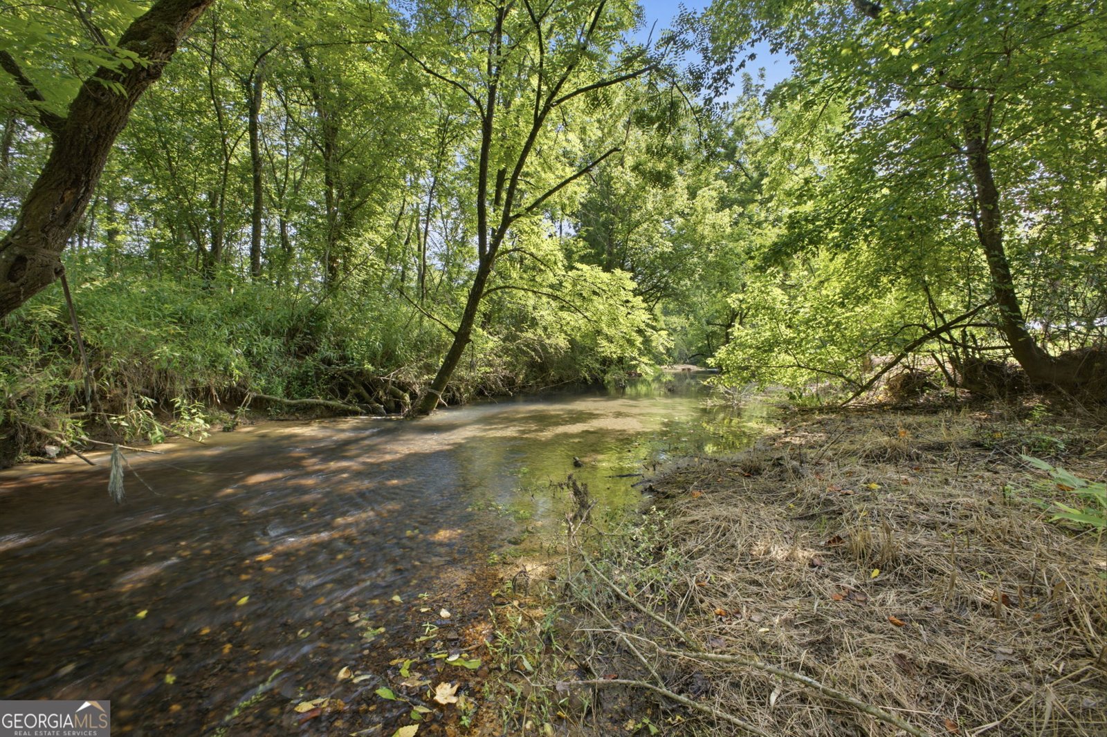 1344 Old Highway 27 Trion - Photo 49