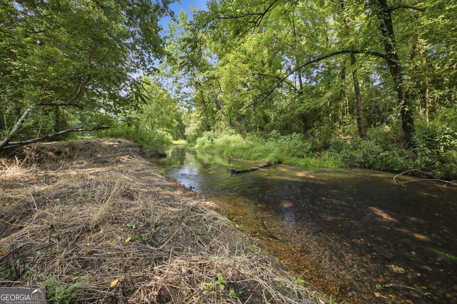 1344 Old Highway 27 Trion - Photo 50