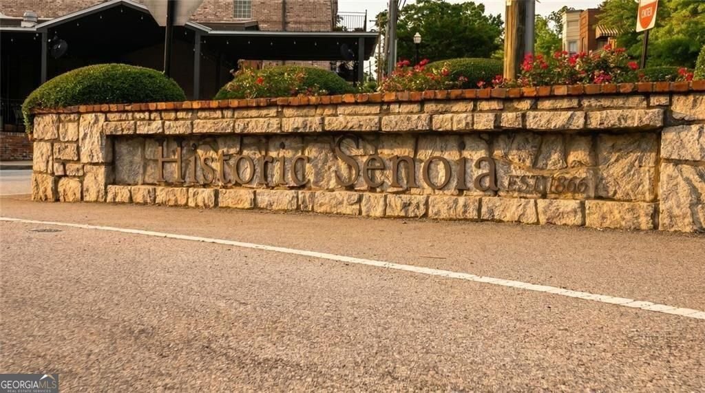 49 Bourbon Street Senoia - Photo 34