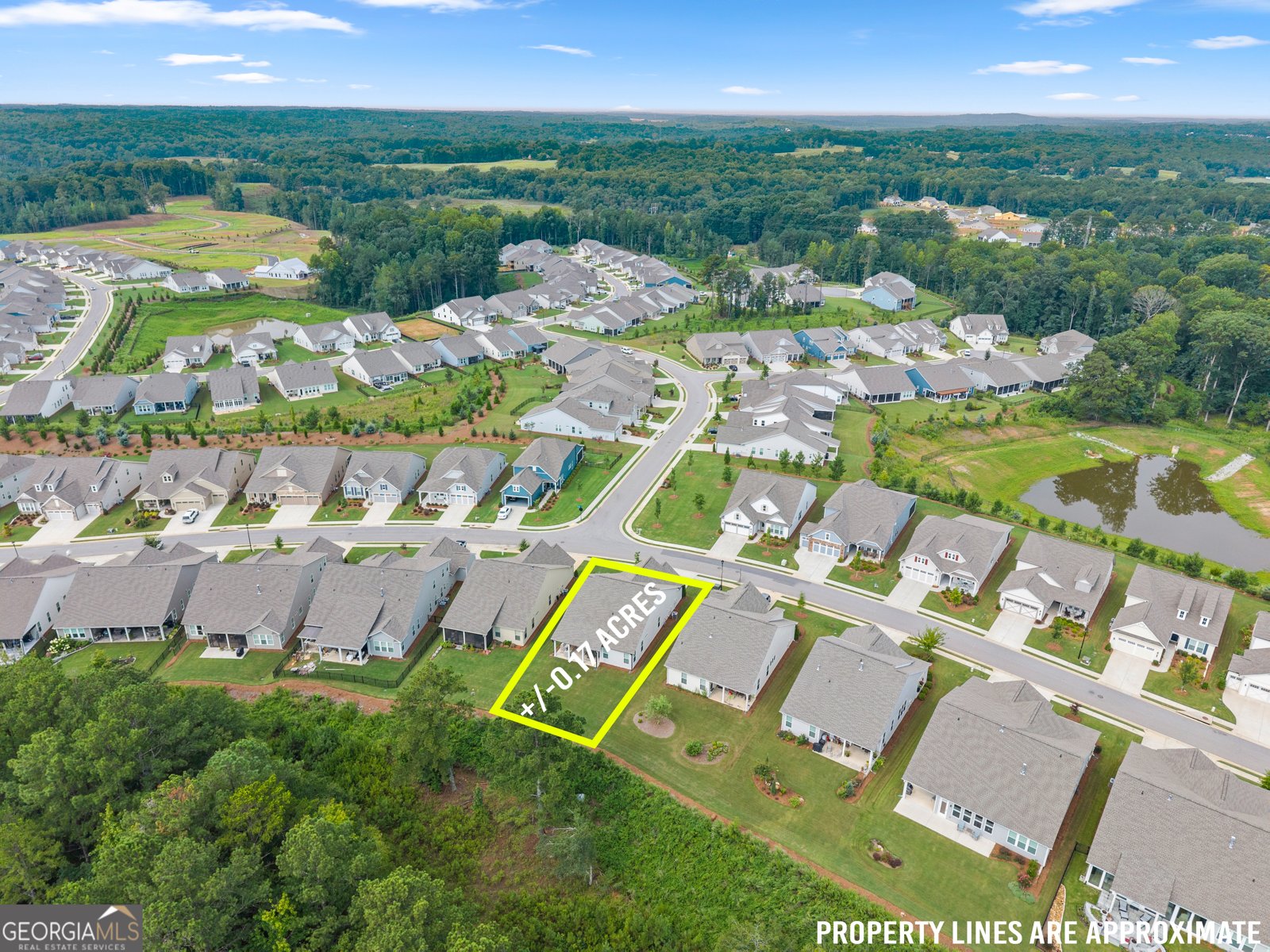 285 Huron Lane Hoschton - Photo 46