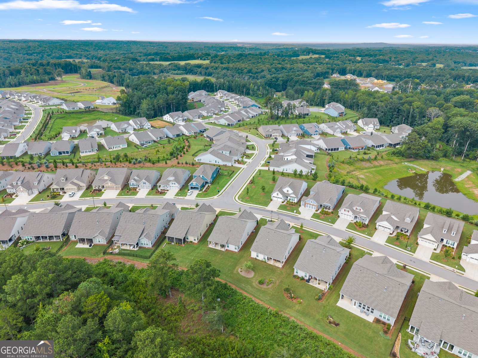 285 Huron Lane Hoschton - Photo 47