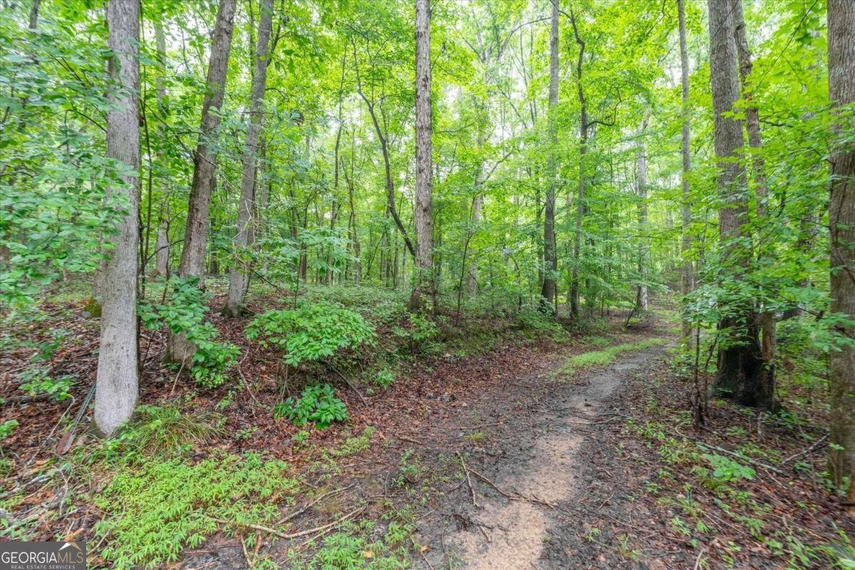 4315 Coursey Lake Road Douglasville - Photo 43