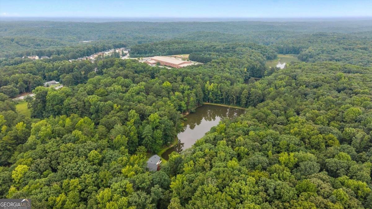4315 Coursey Lake Road Douglasville - Photo 46
