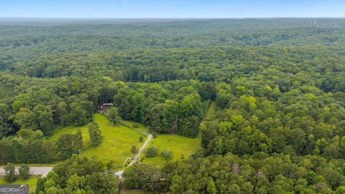 4315 Coursey Lake Road Douglasville - Photo 47