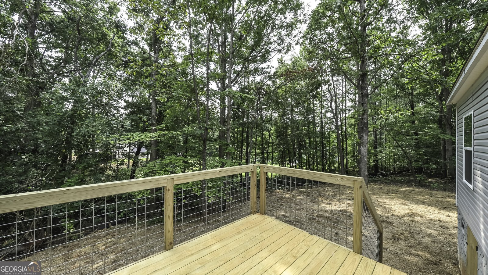 534 Tree Ridge Carrollton - Photo 36