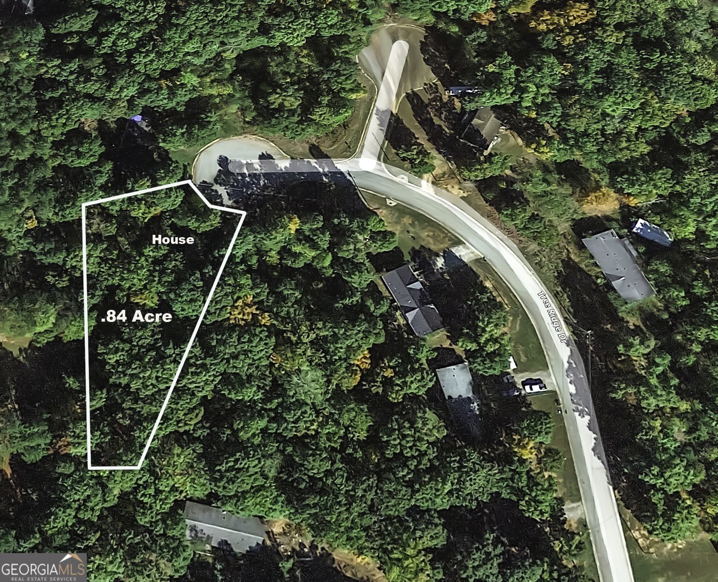534 Tree Ridge Carrollton - Photo 45