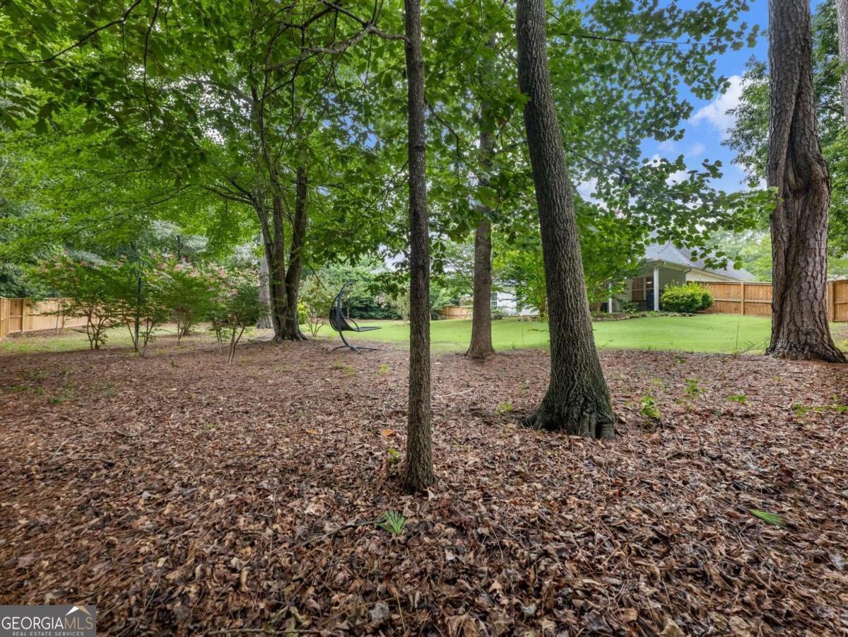 835 Winding Grove Lane Loganville - Photo 45