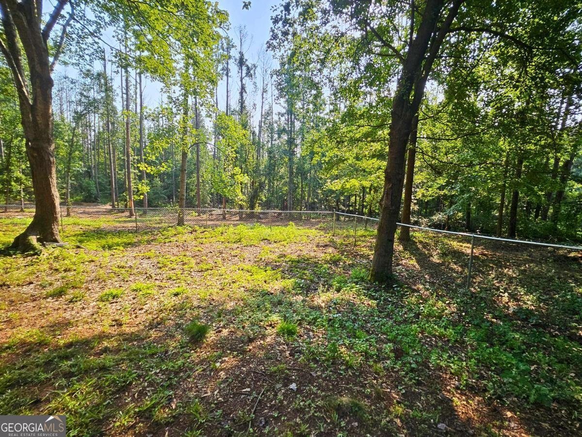 816 Bruce Jackson Road Newnan - Photo 11