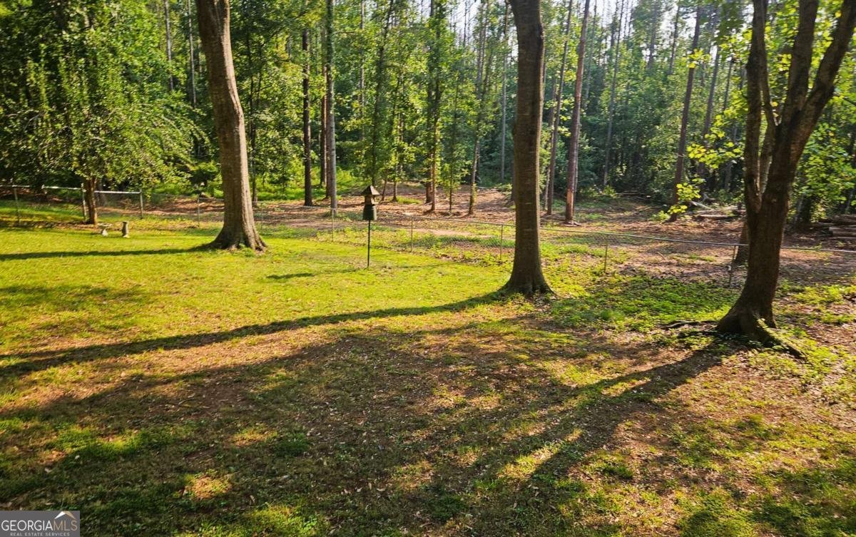 816 Bruce Jackson Road Newnan - Photo 25