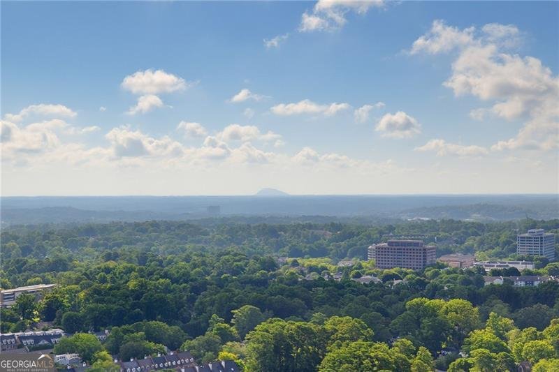 3630 Peachtree Road Atlanta - Photo 7