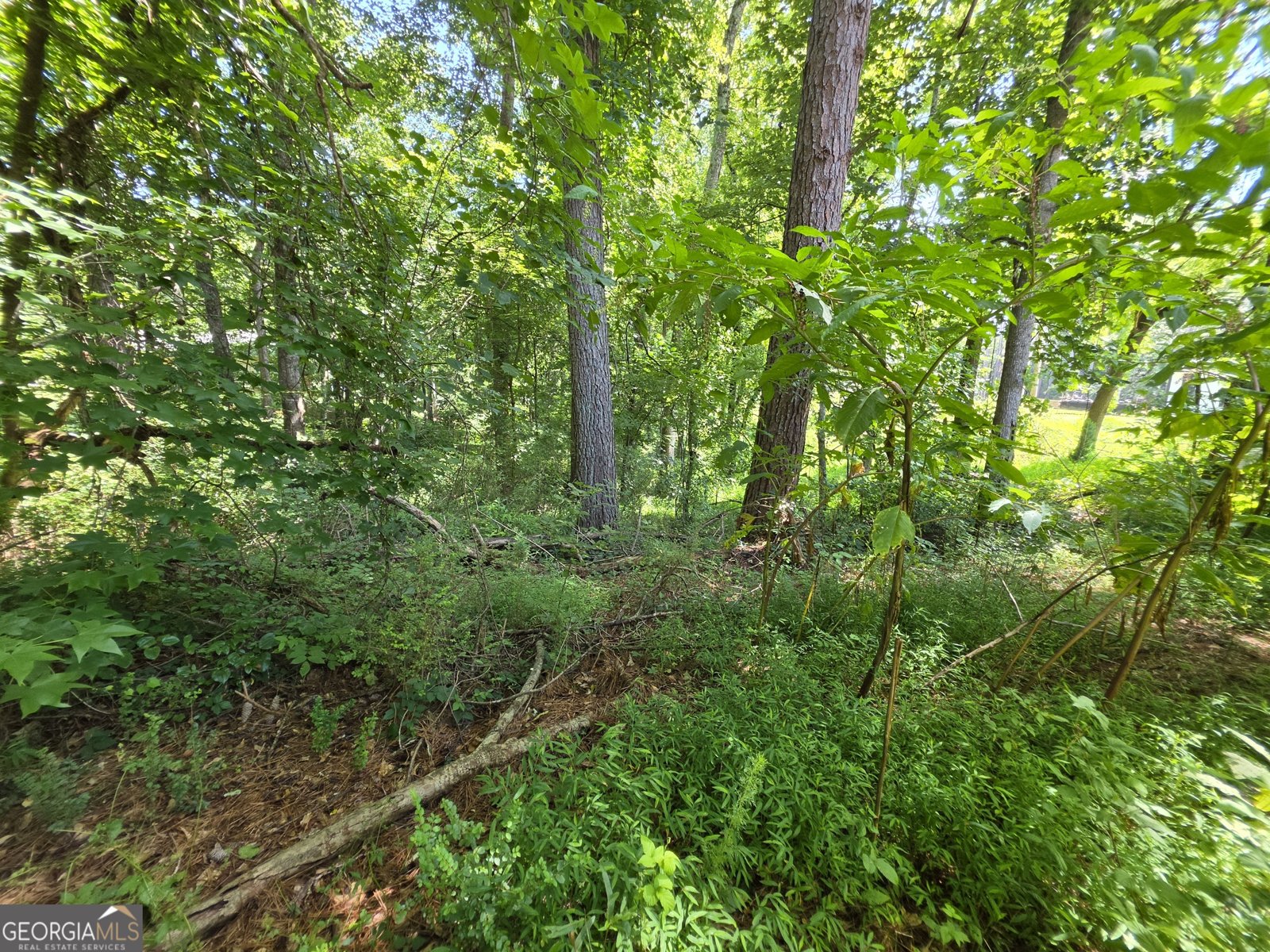 5170 Hurt Bridge Road Cumming - Photo 22