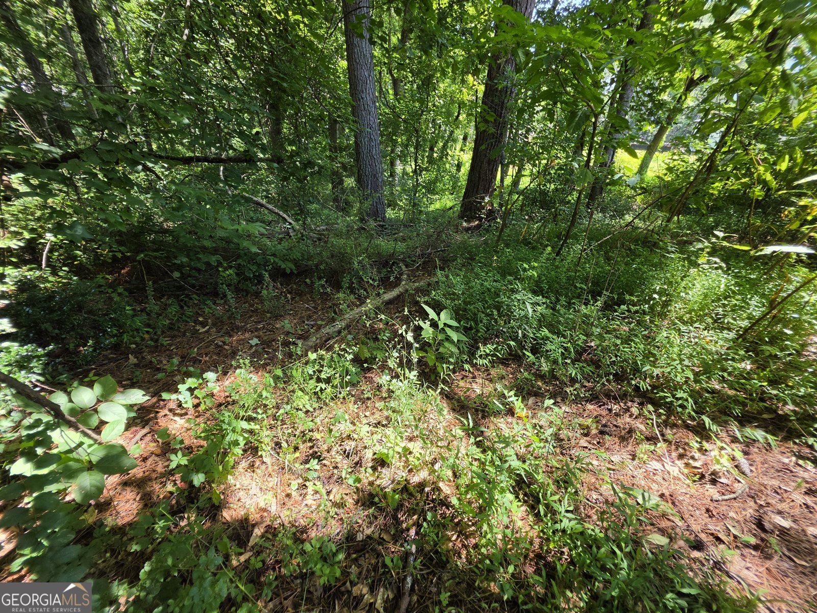 5170 Hurt Bridge Road Cumming - Photo 23