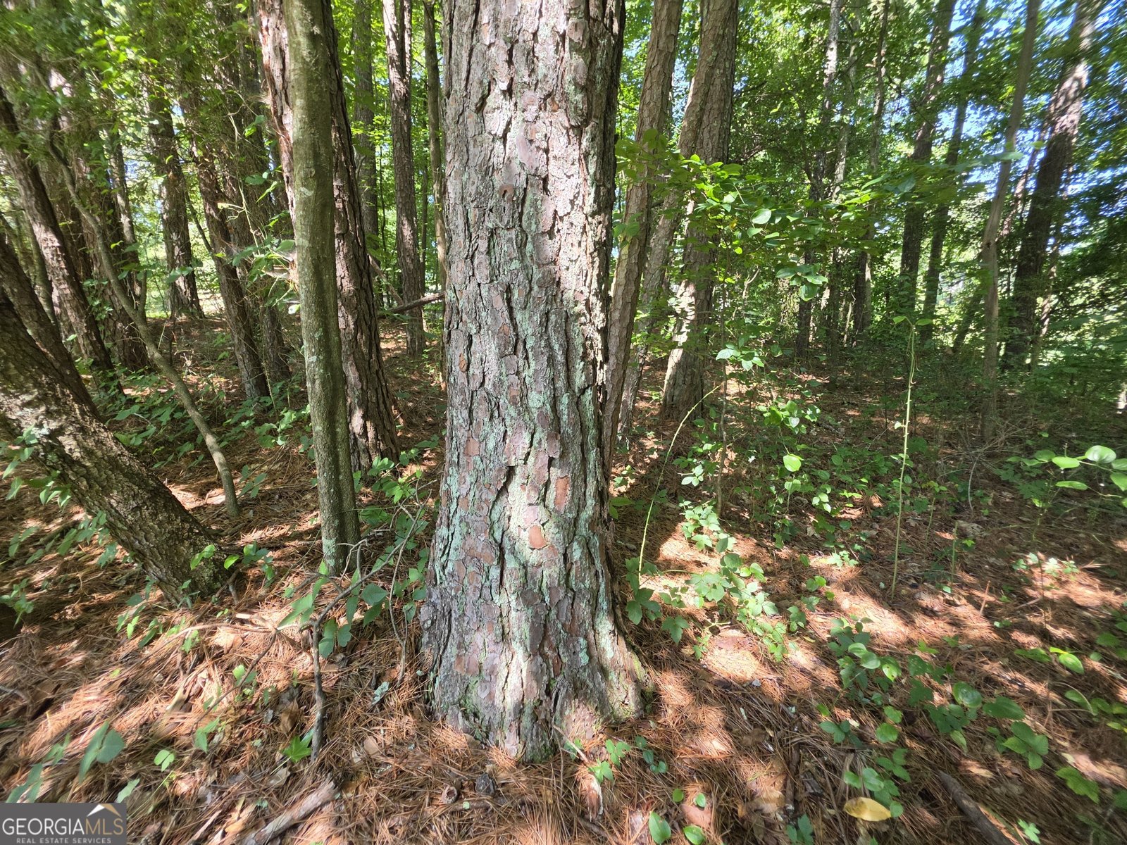 5170 Hurt Bridge Road Cumming - Photo 24