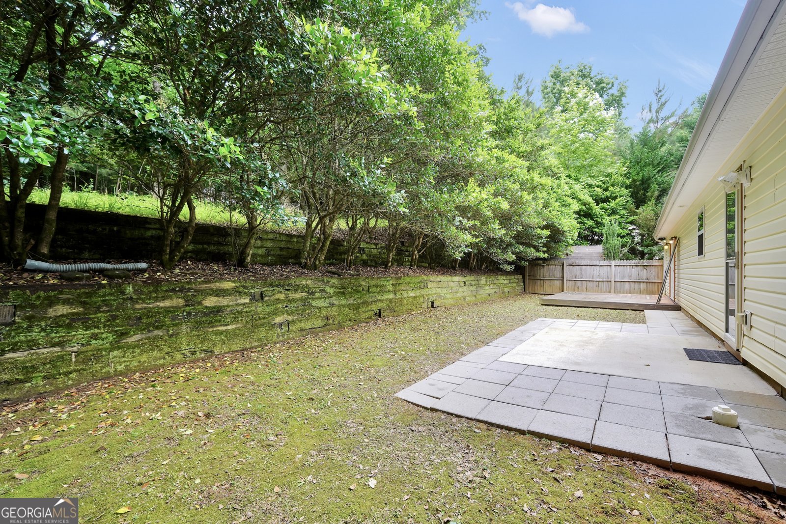 1203 Dried Creek Court McDonough - Photo 38