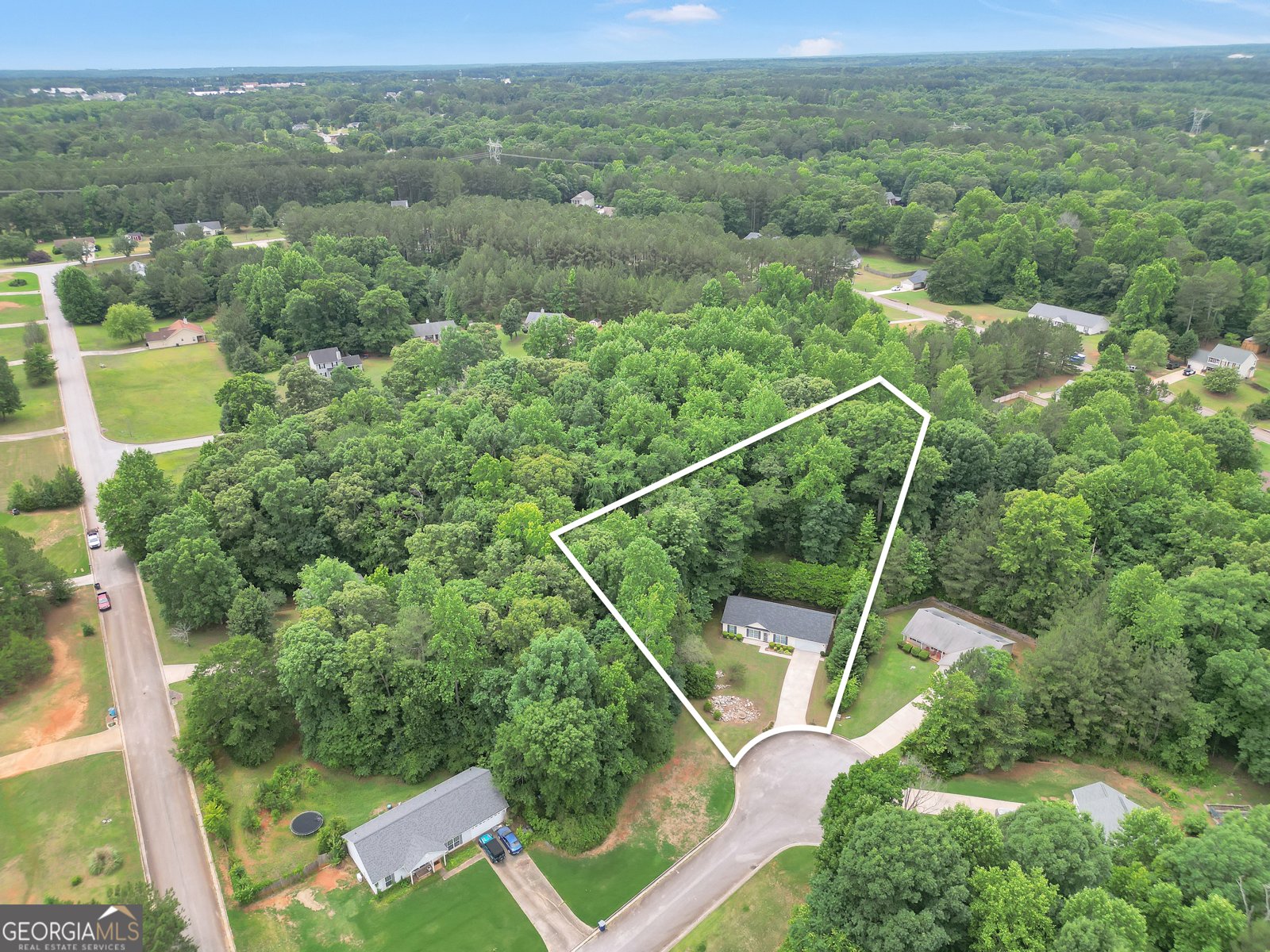 1203 Dried Creek Court McDonough - Photo 43