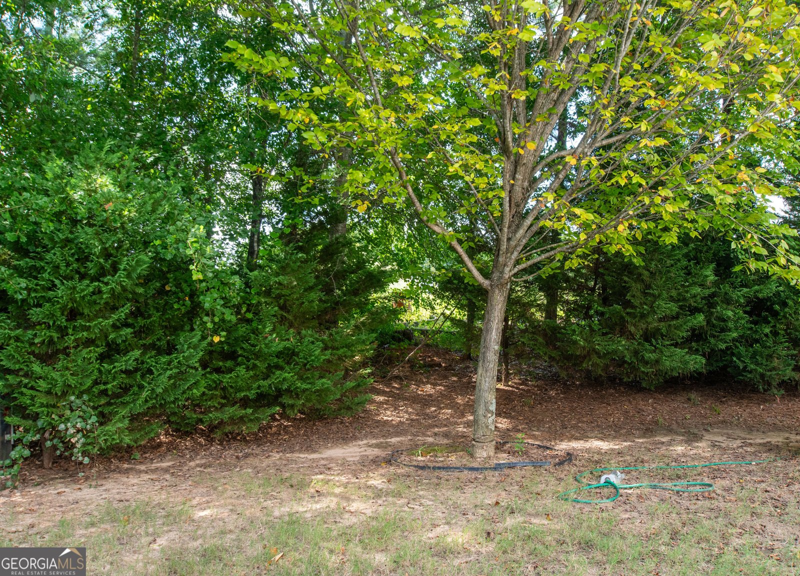 7728 Old Thyme Road Union City - Photo 26