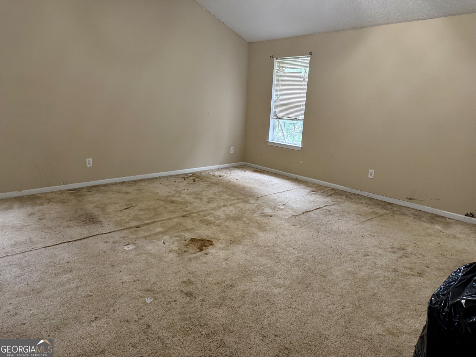 4323 Caroline Court Douglasville - Photo 12