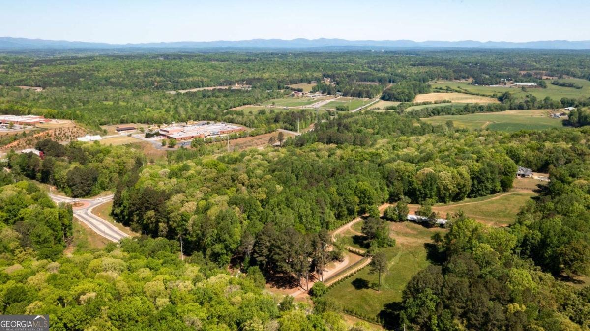153 Dawson Forest Road Dawsonville - Photo 33