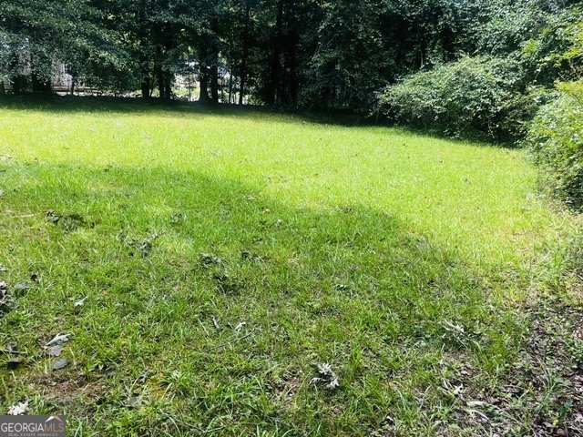 173 Pear Valley Drive Clarkesville - Photo 24
