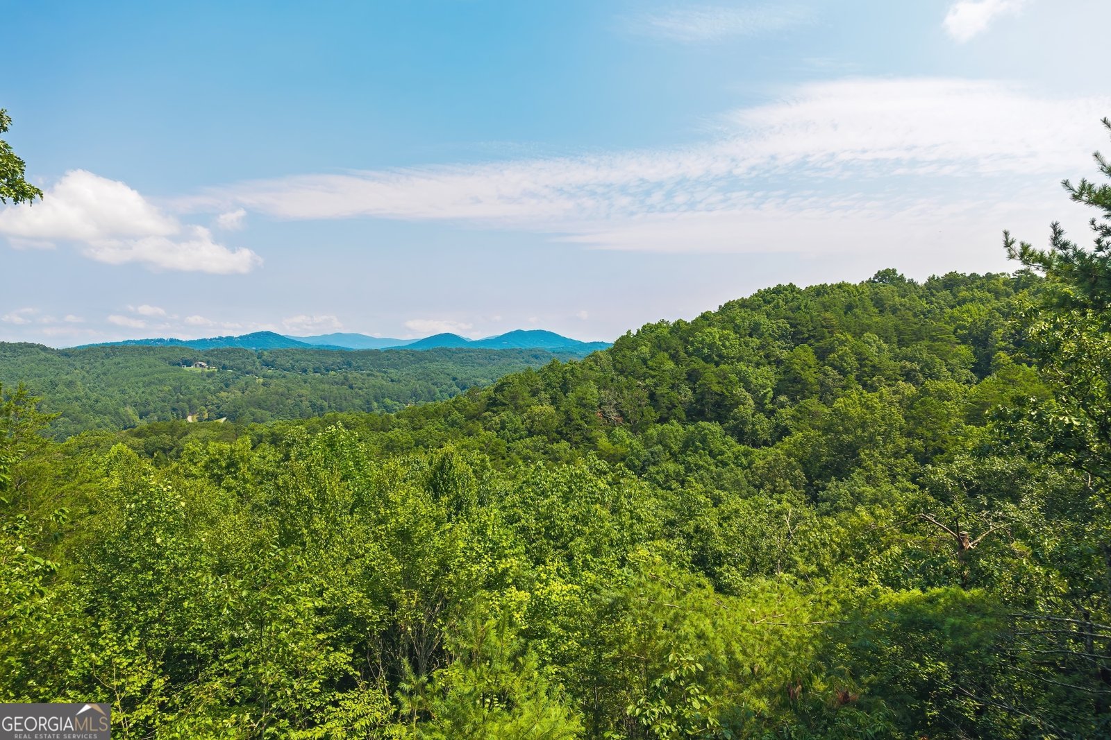 88 Down Yonder Road Morganton - Photo 47