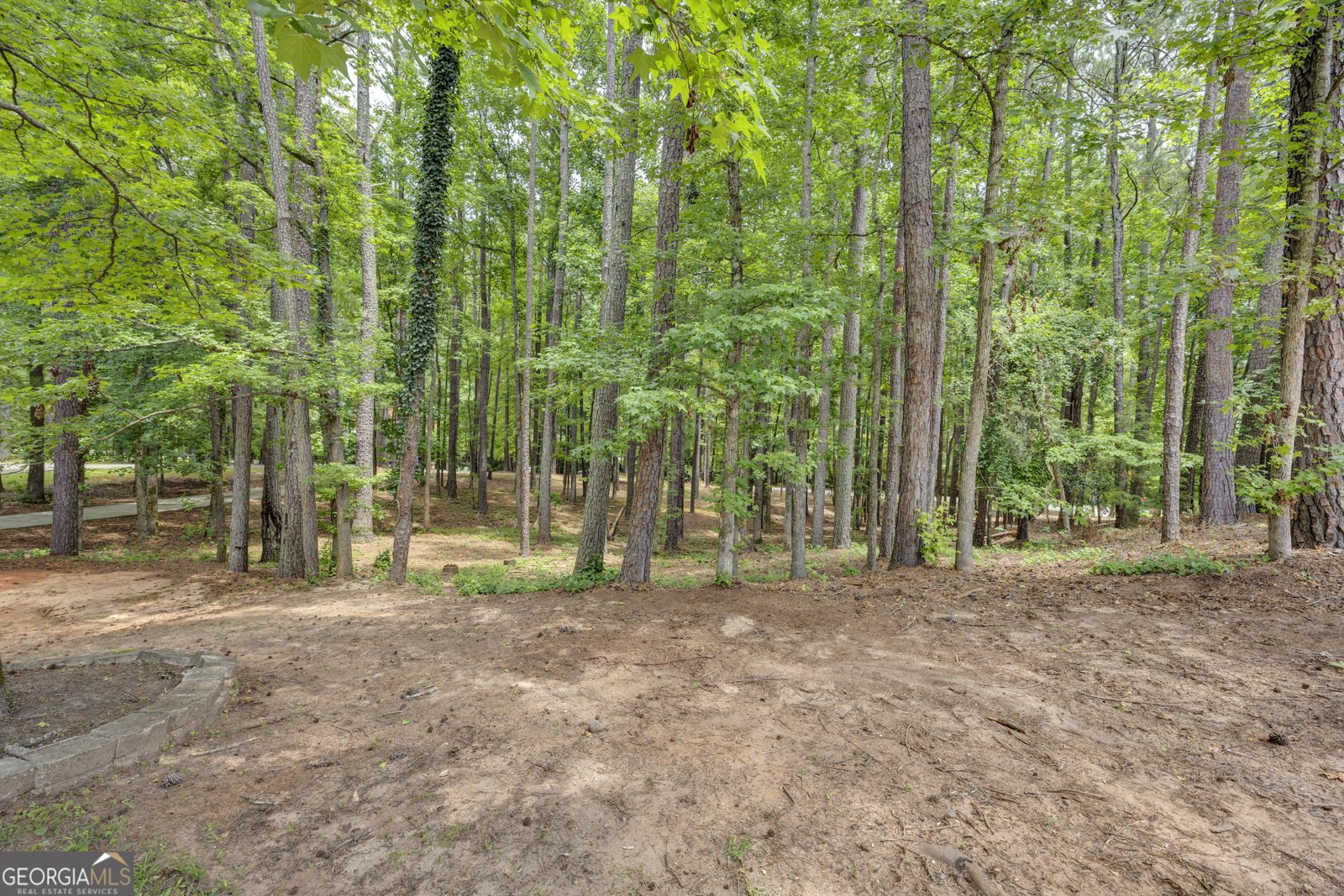 245 Westchester Drive Griffin - Photo 68