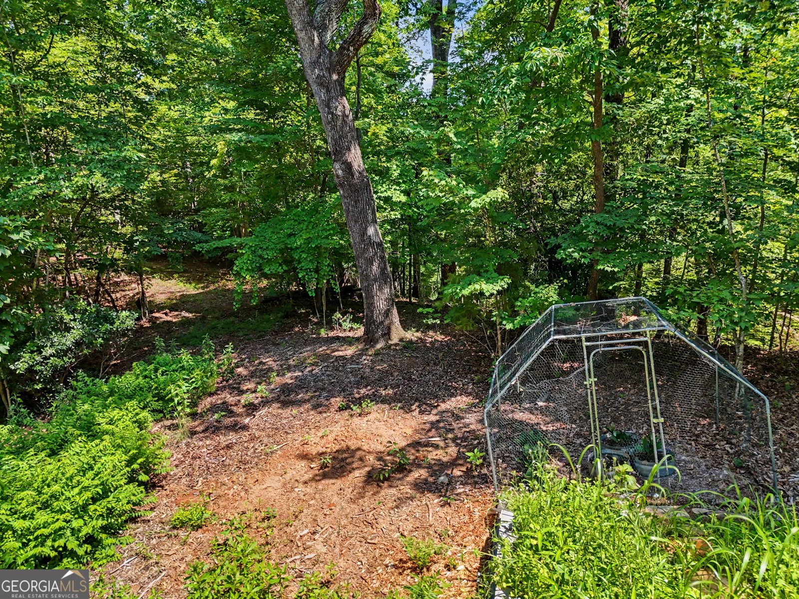 1405 Adair Mill Road Cleveland - Photo 43