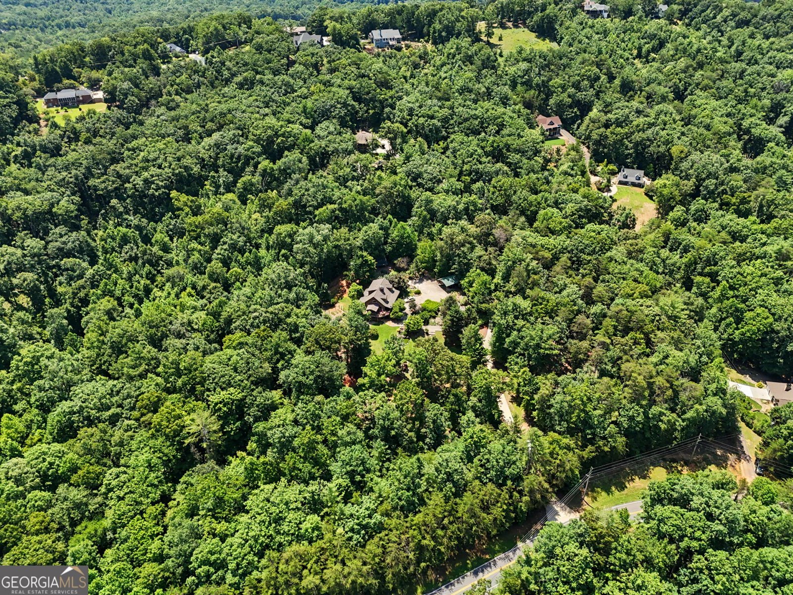 1405 Adair Mill Road Cleveland - Photo 58