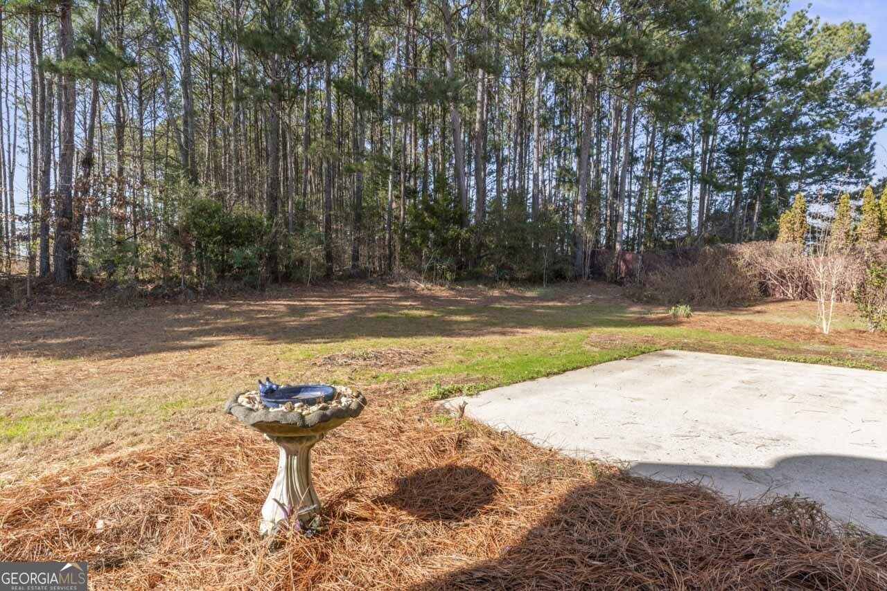 1216 McAllistar Drive Locust Grove - Photo 27