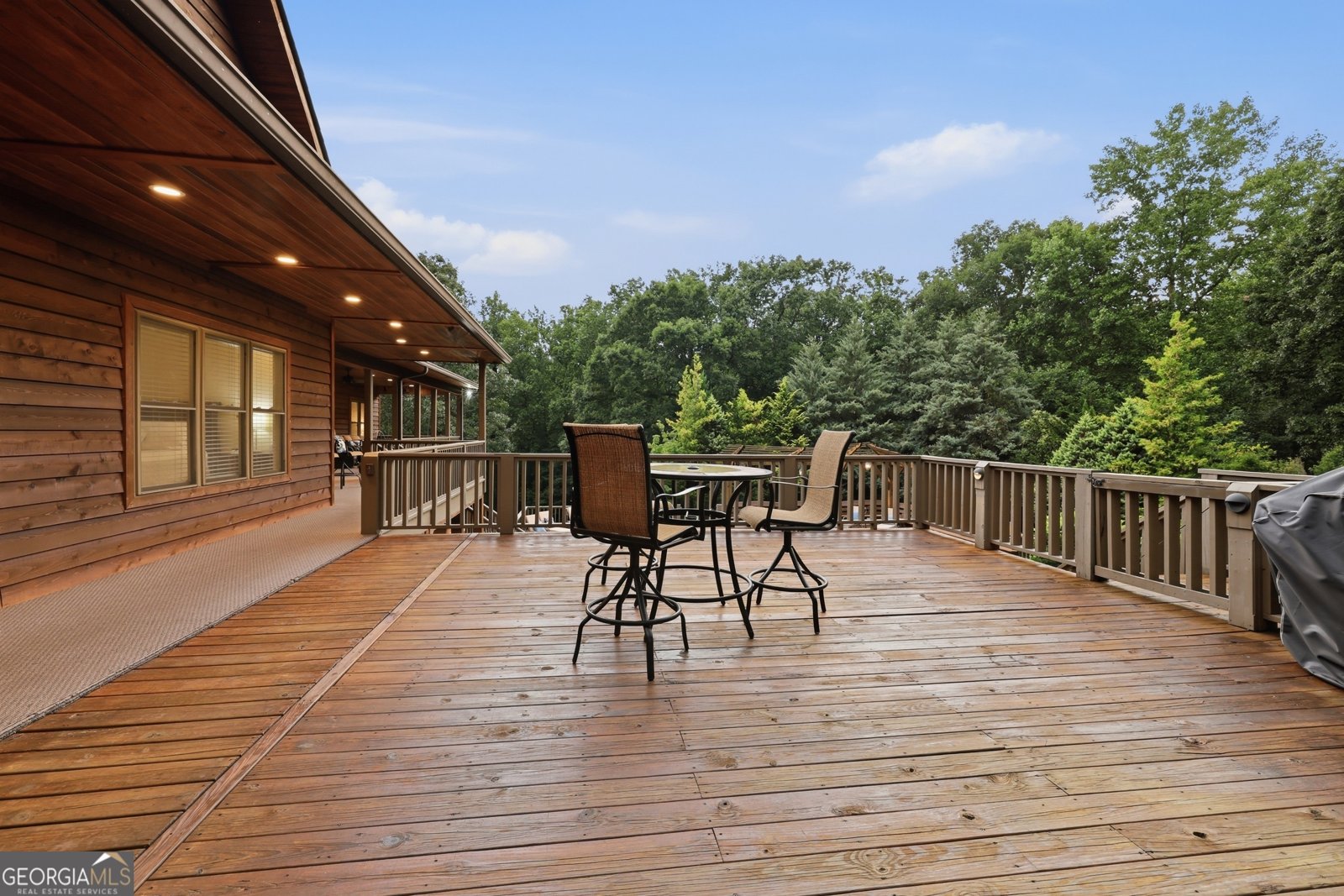 1091 Echota Road Clarkesville - Photo 66