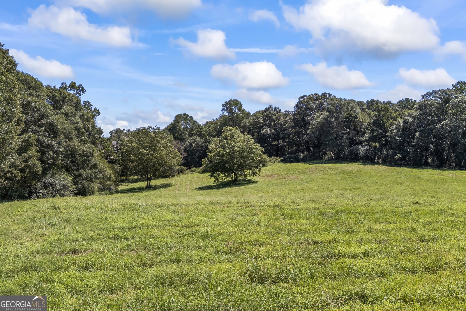 711 Shackelford Road Royston - Photo 41