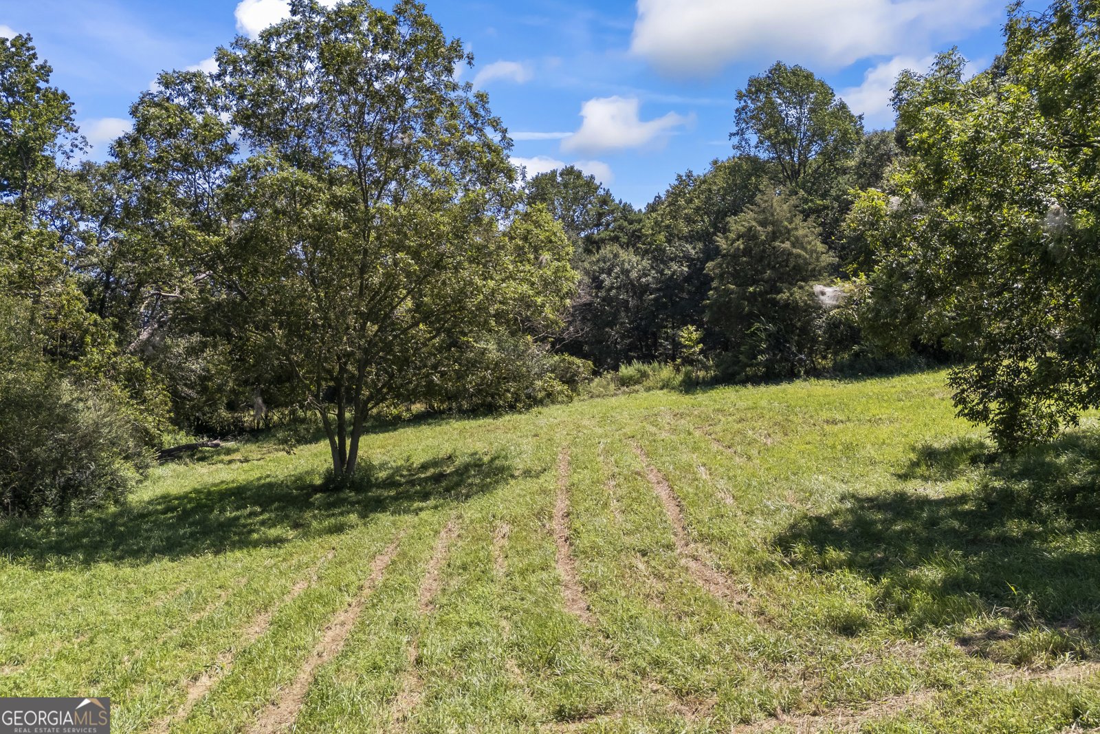 711 Shackelford Road Royston - Photo 42