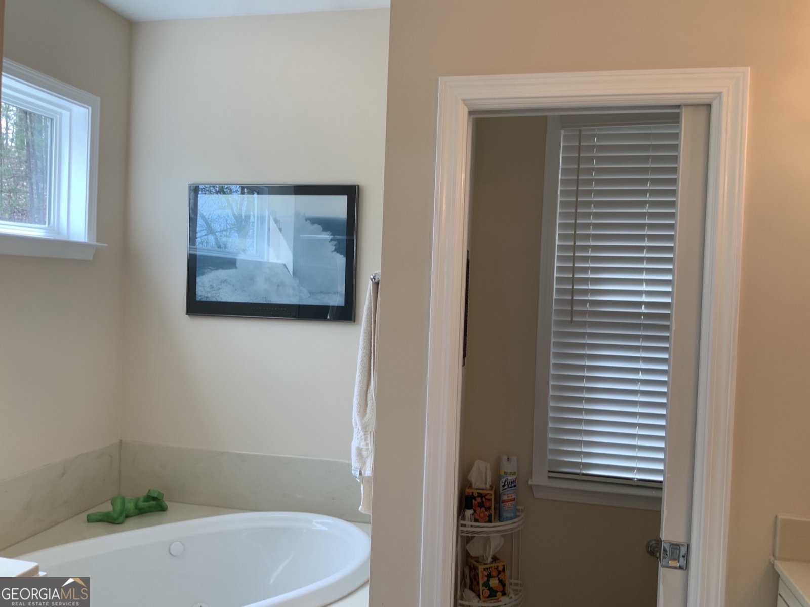 7026 Peebles Road Young Harris - Photo 11