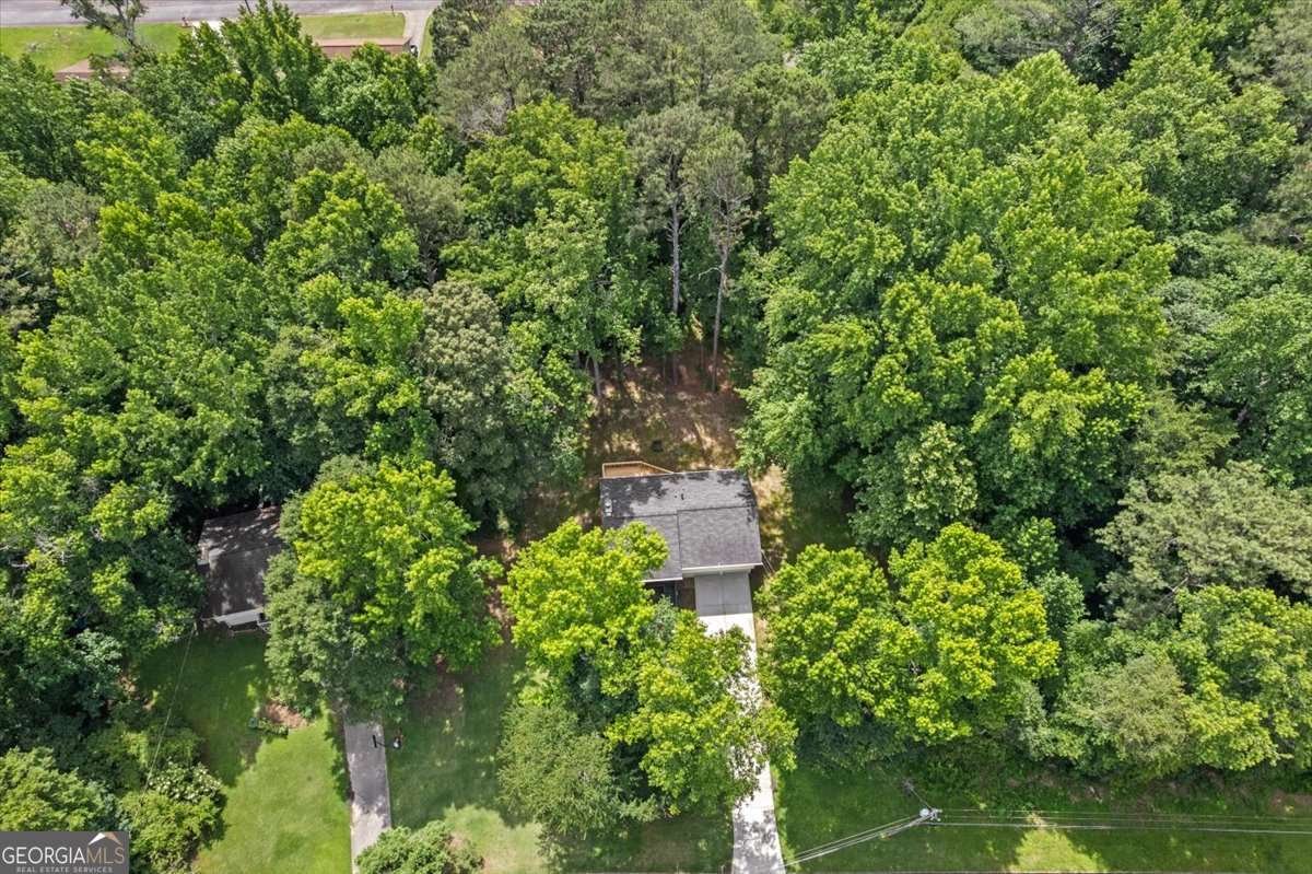 2152 Cedar Creek Lane Lithia Springs - Photo 37