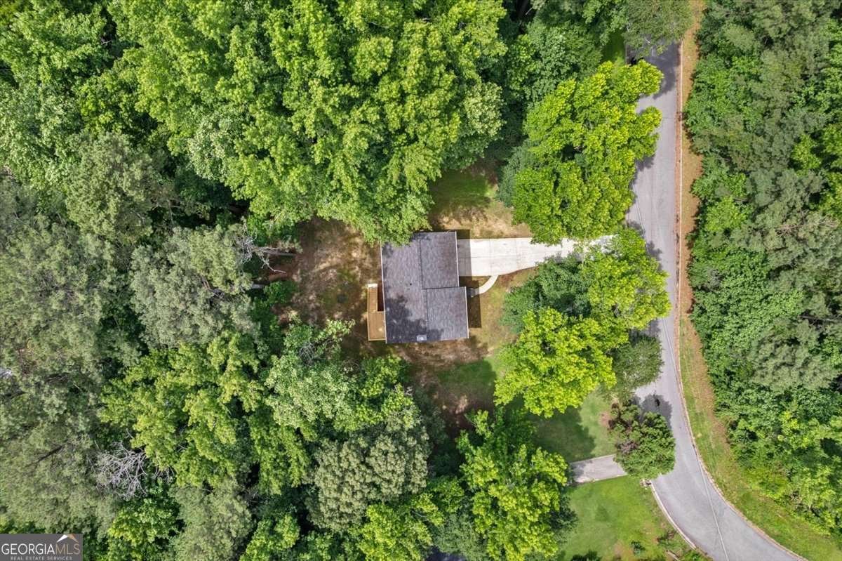2152 Cedar Creek Lane Lithia Springs - Photo 41
