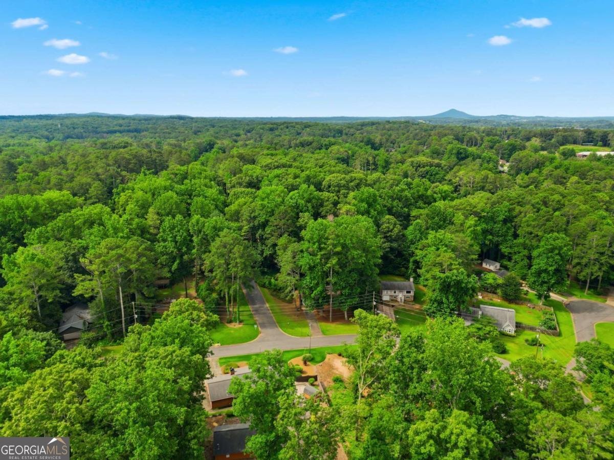 4738 Jamerson Forest Circle Marietta - Photo 50