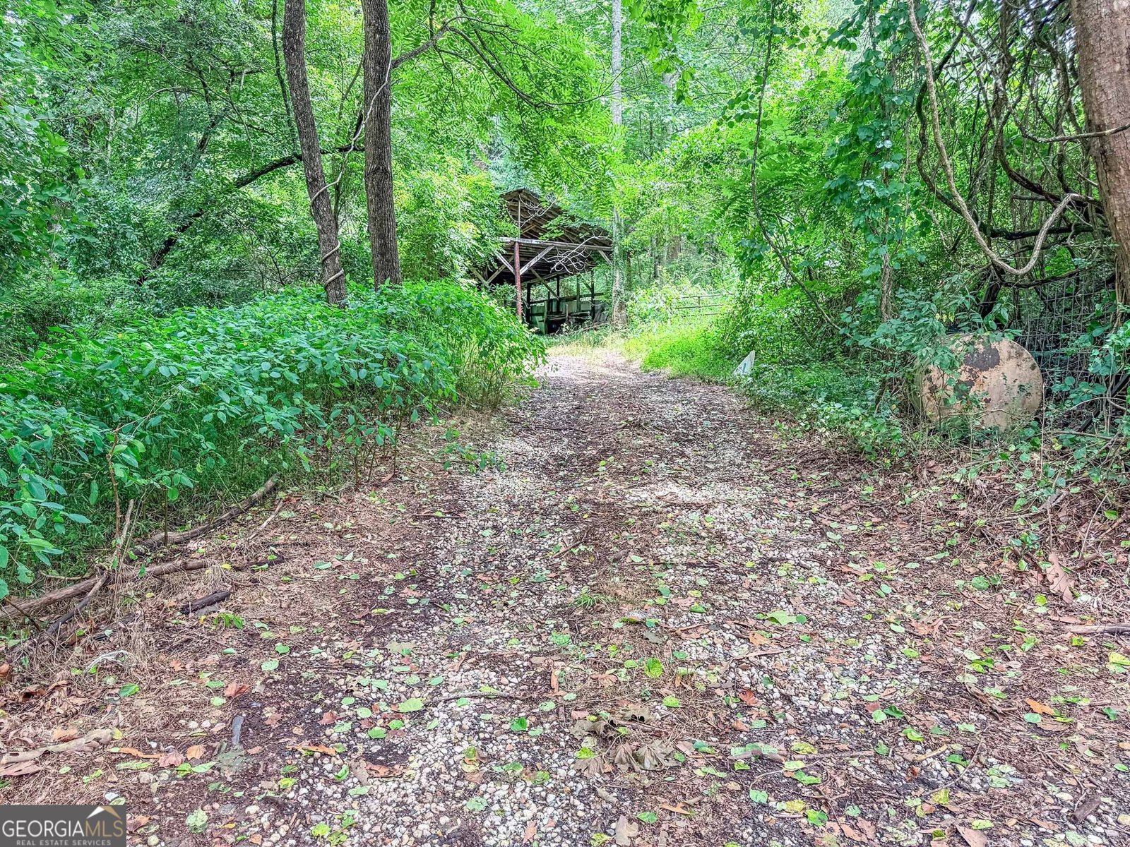 122 Crawford Cove Road Sylva - Photo 58