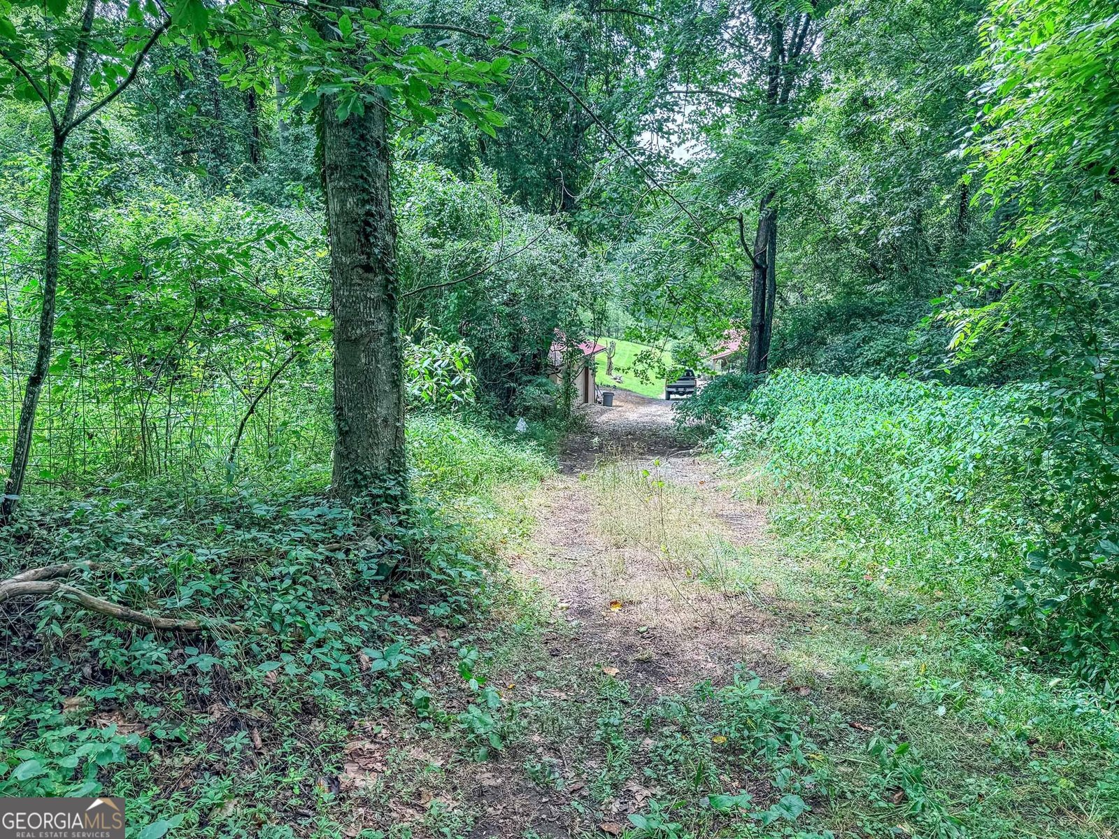 122 Crawford Cove Road Sylva - Photo 60