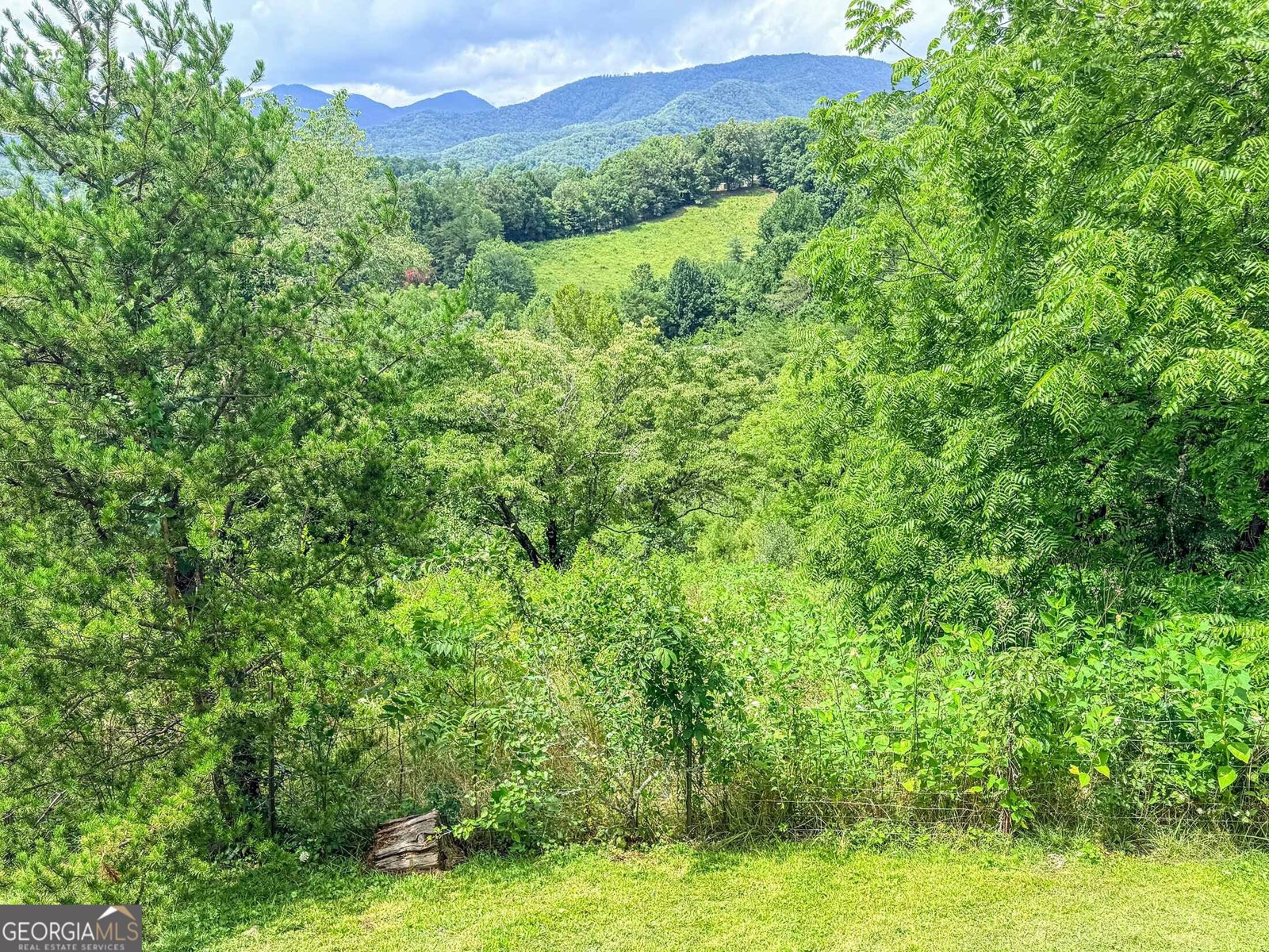 122 Crawford Cove Road Sylva - Photo 64