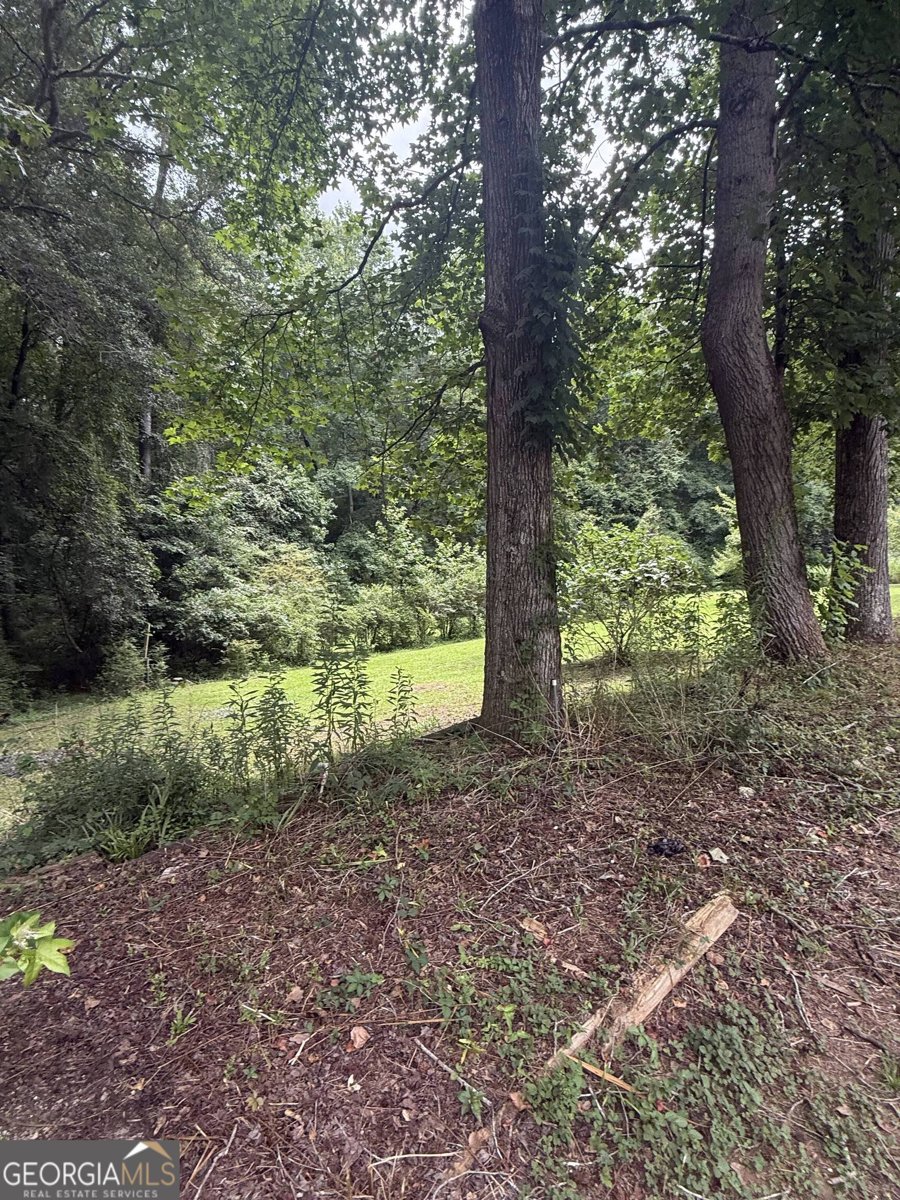 230 Camp Ground Road Griffin - Photo 35