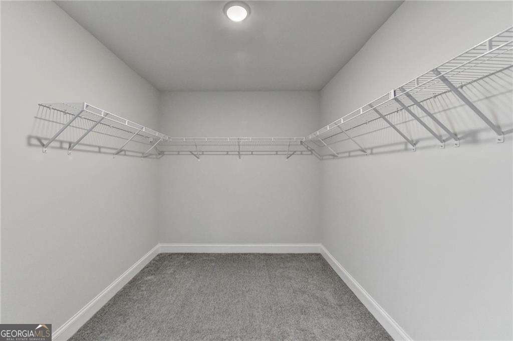 3328 Sir Gregory Manor Lawrenceville - Photo 46