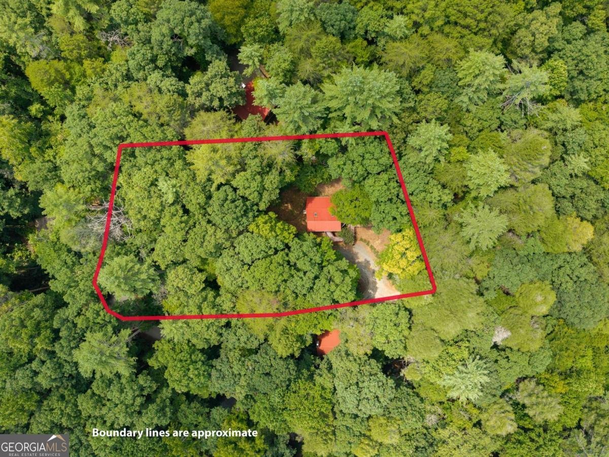 35 Finch Lane Blue Ridge - Photo 26