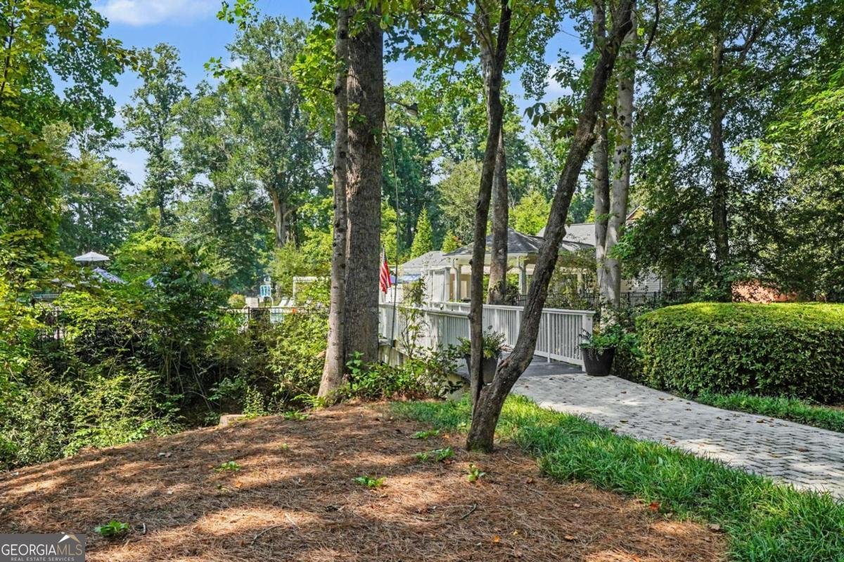 6415 River Chase Circle Sandy Springs - Photo 53