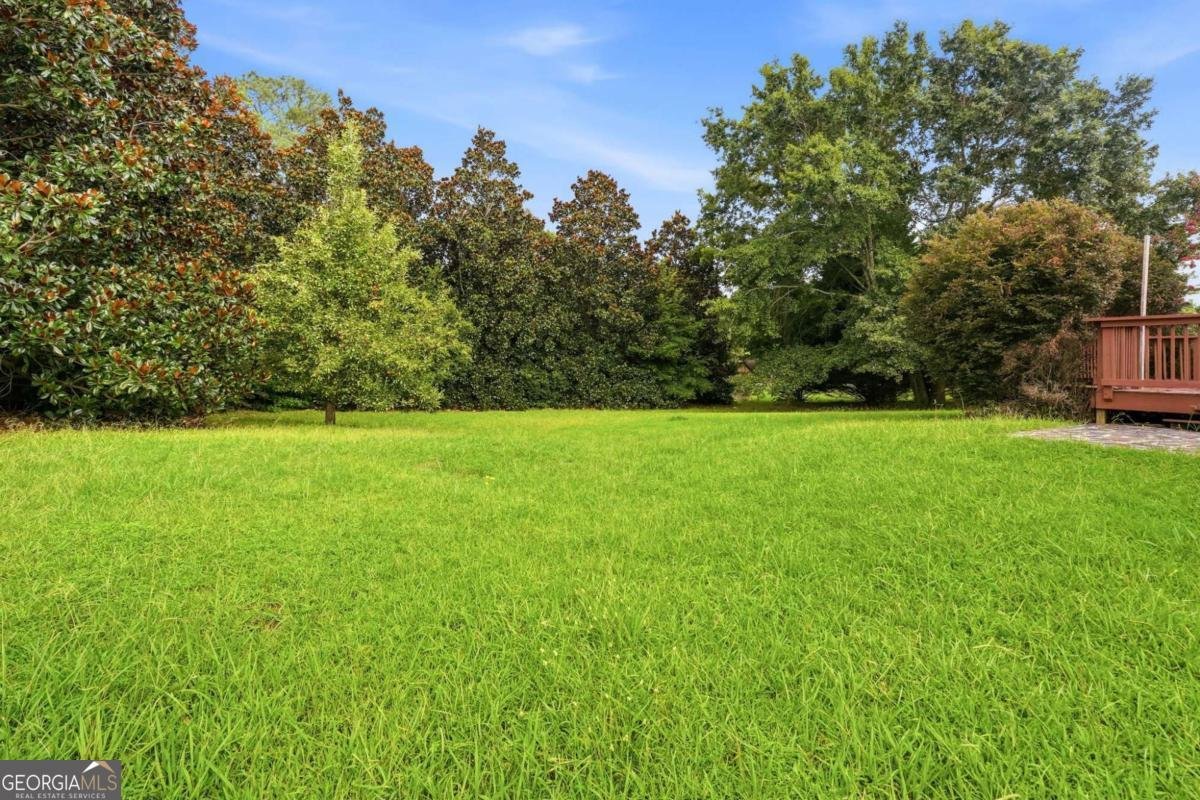 101 Moss Pointe Drive Mcdonough - Photo 48